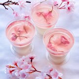 桜のゼリーとパンナコッタ